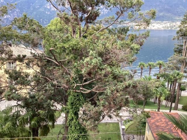 Wonderful Lake Front Appartment Near Bellagio Limonta Esterno foto